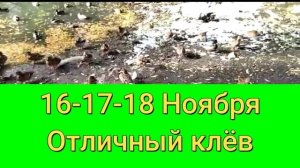 Прогноз клева на эту неделю с 14 по 20 Ноября Календарь рыбака на ноябрь Лунный прогноз клева