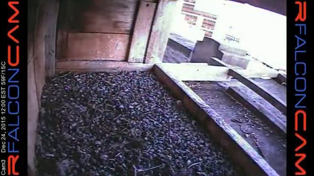 Camera 3 - 12/24/15 смотреть онлайн