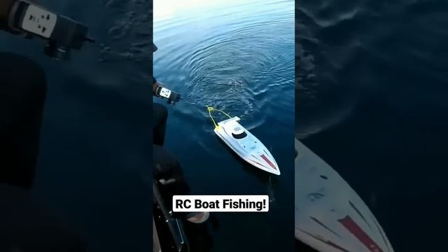 RC Boat Catches BIG FISH!