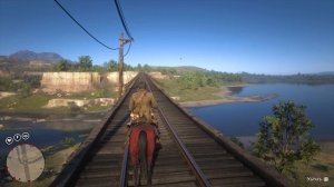 RDR2 - Сизый и Полосатохвостый голубь