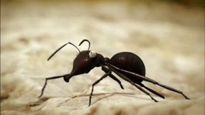 Minuscule S01E18