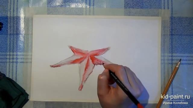 поэтапное рисование карандашом для детей