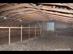 Гусятник на 1000 голов. Хозяйство Гридневых