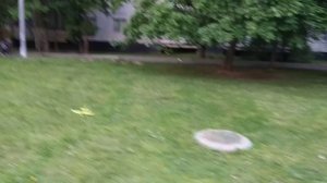 Как запускать планер из пенопласта