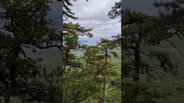 красоты природы смотреть онлайн