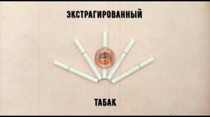 Эволюция Табака