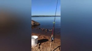 Летняя рыбалка и отдых на Верх-Исетском пруду продолжается!