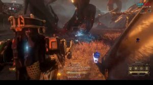 #Warframe Для новичков-Деймос+Панцирная Вульпафила