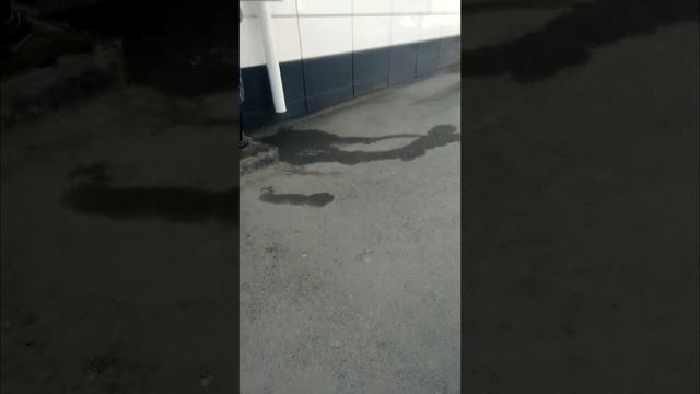 Цена на разливную воду в таганроге 14 марта 2022 года смотреть онлайн