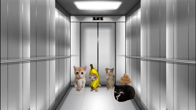 Happy cats stuck in an elevator смотреть онлайн