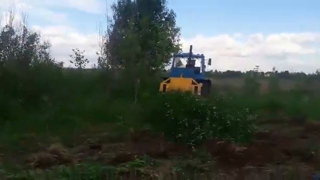 Очистка заросших полей от деревьев и кустарников смотреть онлайн