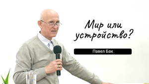 Мир или устройство? Павел Анатольевич Бак