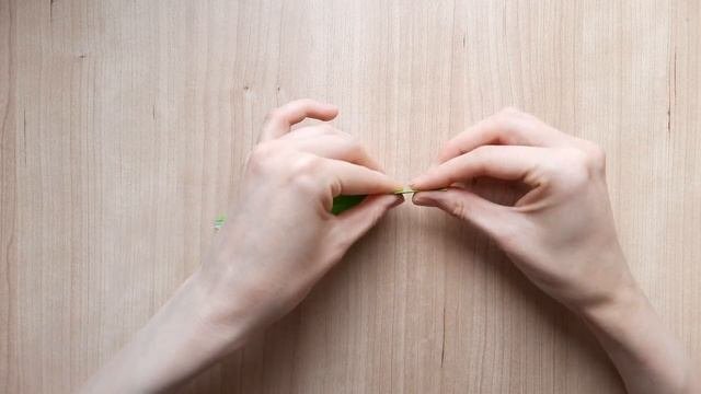 Origami Dinosaur | Оригами динозавр из бумаги | 折り紙　恐竜