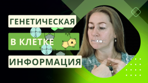 Био ЕГЭ | Генетическая информация в клетке | ДНК и РНК