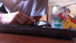 Улитка сломала панцирь.Что делать?