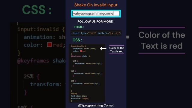 Shake On Invalid Input #css #html #javascript #programming #devlopment
