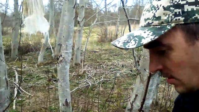 6 июня 2020 г. смотреть онлайн