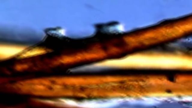 ДНК тесты 7 ШОКИРУЮЩИХ результатов наследственности смотреть онлайн