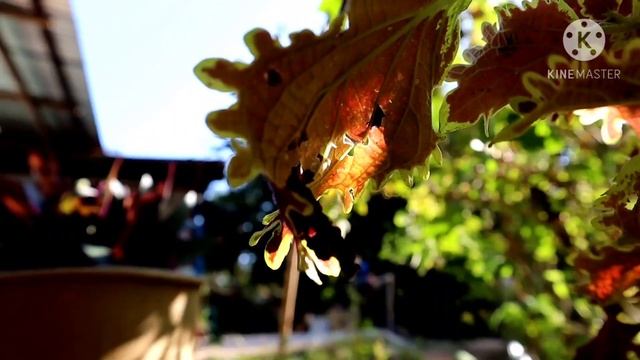 Canon EOS M200 video testing смотреть онлайн