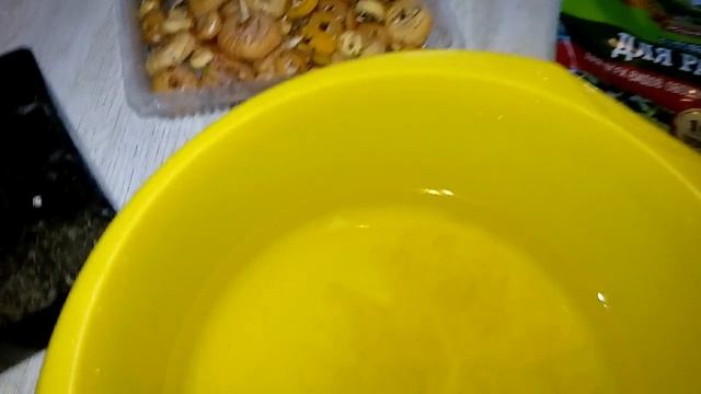 Подготовка луковиц гладиолусов к посадке, обеззараживание и выгонка смотреть онлайн