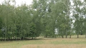 Вурцен, 242 полк, 2011.