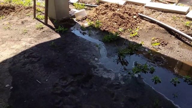 Строим пруд сами. Перелив и уровень воды в пруду. смотреть онлайн