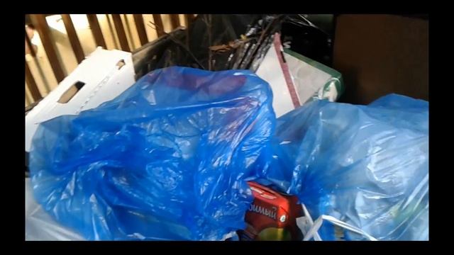 Мусорные баки и Ботинок.