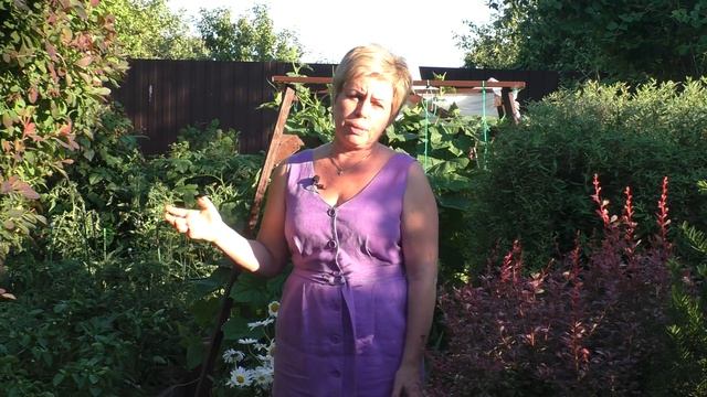 КАК МУЛЬЧА МОЖЕТ СПАСТИ ВАШ САД! ВСЕ ЧТО ВЫ НЕ ЗНАЛИ О ПРАВИЛЬНОМ МУЛЬЧИРОВАНИИ!! смотреть онлайн