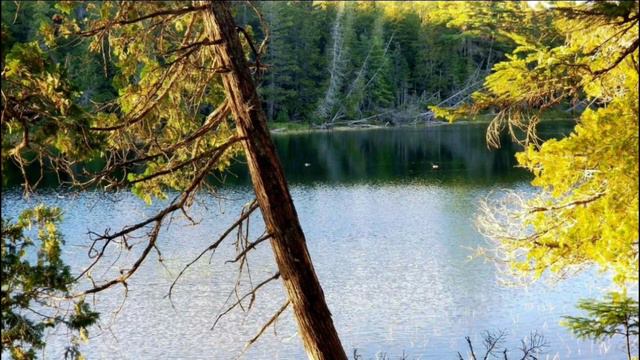 Я верую, в распятого Спасителя, Воскресшего. Христианская песня. смотреть онлайн