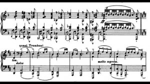 "Chaconne" of Bach (2d partita in Dm) transcr. Busoni