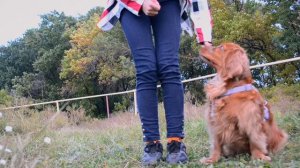 Lika, tricks&fun | 18.09.21