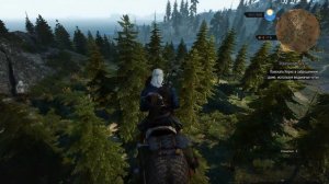 The Witcher 3 - Плотва летает