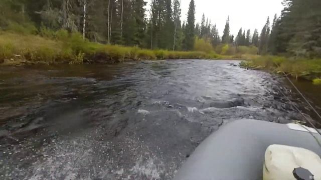 Это уже Россох левая или правая, приток Чурала. смотреть онлайн