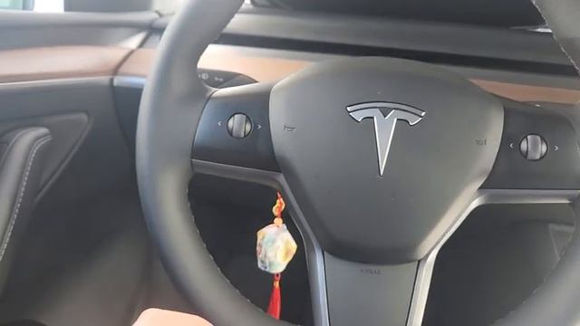 What I Learned After Driving My 2023 Tesla Model Y 6000 Miles In 6 Weeks смотреть онлайн