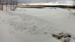 Дизельный Дастер на зимнем бездорожье