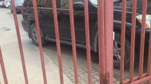 Джубга ул. Портовая 14 обзор дома/гостиницы