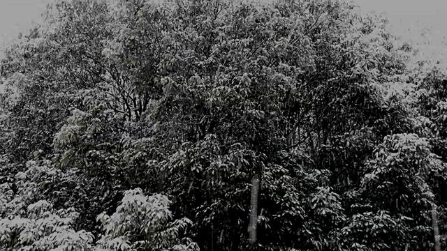 ネットバンド・n部　クリスマスの奇跡【on vocal】（The original 17）We tried playing "Christmas no kiseki" смотреть онлайн