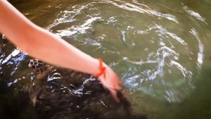 Шри-Ланка. Путешествие по острову на мотоцикле