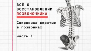 Сокровища в ваших позвонках (о чем не говорят врачи)