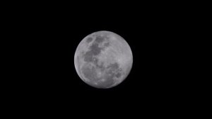 Moon through my LXD75 N6 with my Nikon D7000 on 28 october 2012.