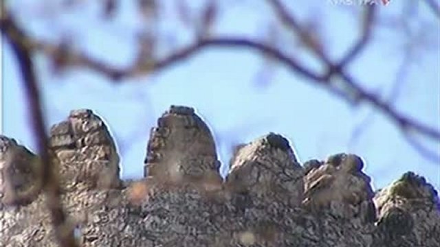 Грузинская песнь России. часть 1