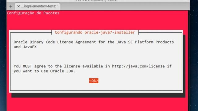 Instalação do Oracle Java 7 (JDK e JRE) no Elementary OS (funciona no Ubuntu e Mint) смотреть онлайн