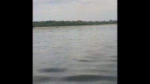 Мотолодка Днепр+Honda BF30+винт Honda 3x9.9x11,5 (перегнутый из 10")