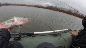 Наловили КУЧУ СУДАКА, без ЭХОЛОТА! Судак с лодки на джиг в декабре.