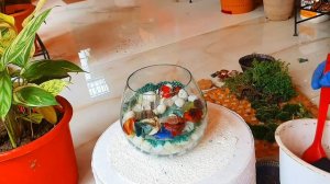 Easy way to make Terrarium For Beginners.