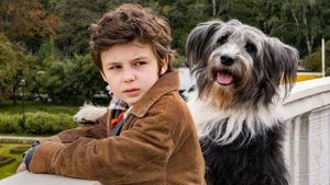 Каждый мечтает о собаке | трейлер | Фильм 2024