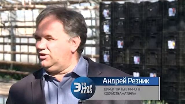 ЭТО МОЁ ДЕЛО в теплицах у ООО "Диантус" 5 03 15 смотреть онлайн