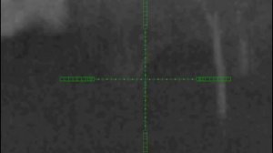 Ночная охота на шакала. Быстрая добыча.?