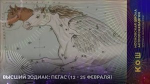16+ Высший зодиак: Пегас (12 - 25 февраля)