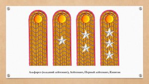 Знаки различия армии Чили